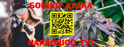 трава Партизанск