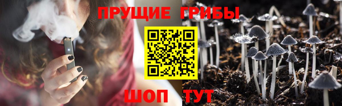 Южноуральск  Галлюциногенные грибы прущие грибы  Вход с VPN 