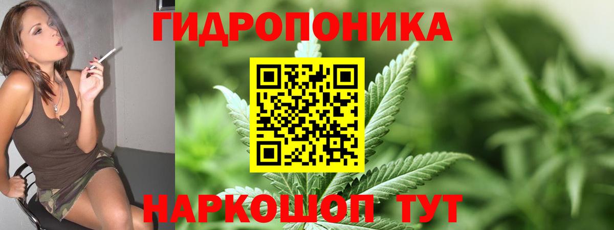 Конопля OG Kush Южноуральск
